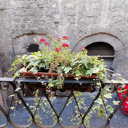 Апартаменты Cava